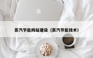 敦煌蒸汽节能网站建设（蒸汽节能技术）